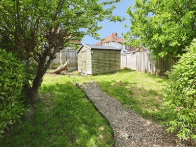 Picture 15